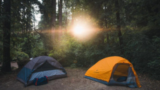 Two tents in the forest and the sun is shining through the leaves.